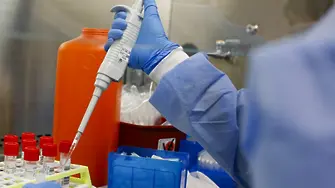 Учен: SARS коронавирусите еволюират към по-опасни, а не към по-безобидни