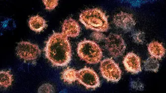 Коктейл от антитела намалява с 81% шанса за симптоматичен COVID-19