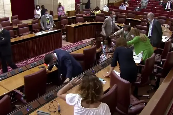 Плъх прекъсна заседание на парламента на Андалусия (ВИДЕО)