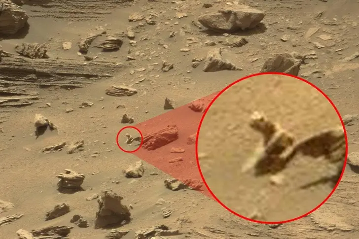 Роувърът Curiosity засне камък като гущер на Марс