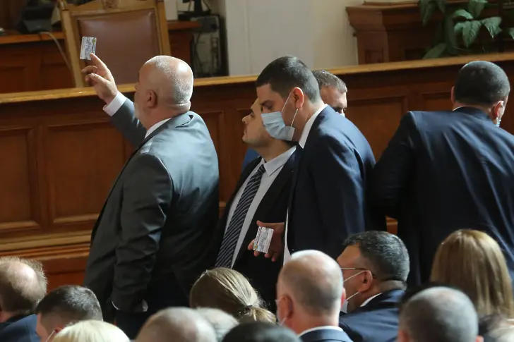 Парламентарно: болонки, шавливи булки, абсолютни престъпници и една мечта на Бойко Рашков