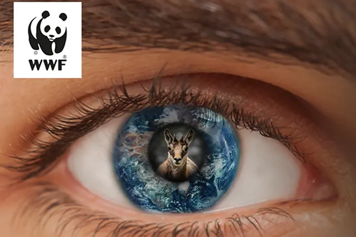 WWF призовава: Отвори очи, животните изчезват