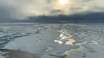 Рекорд: 38° по Целзий на Арктика