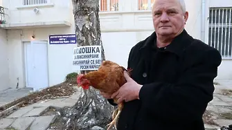 Кокошка срещу ваксина дава във Варна зевзек-политик