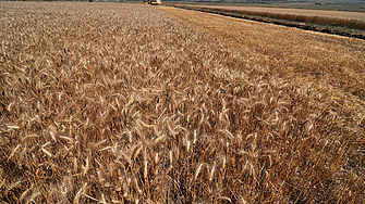 Евтин внос от Украйна заплашвал нашите производители на зърно