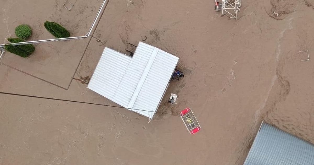 Тоновете кал и тиня, в които се валят боклуци, клони,