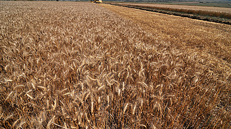 Украйна вече изнася почти толкова зърно колкото преди руската инвазия