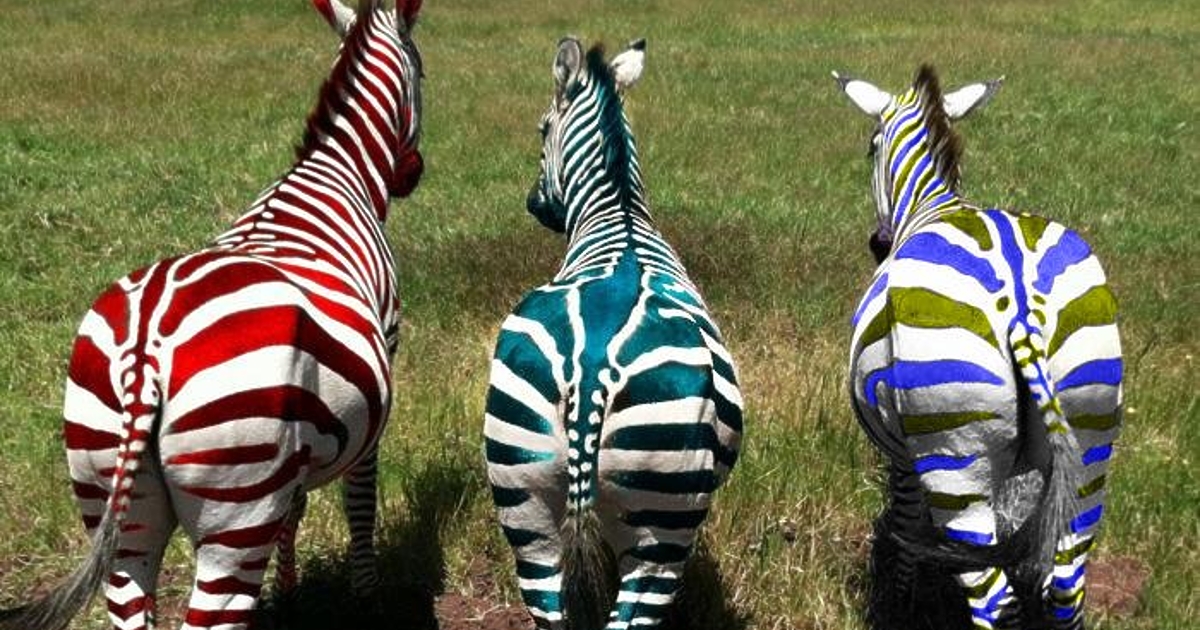 В неделя в България се провежда поредният извънреден кръг от