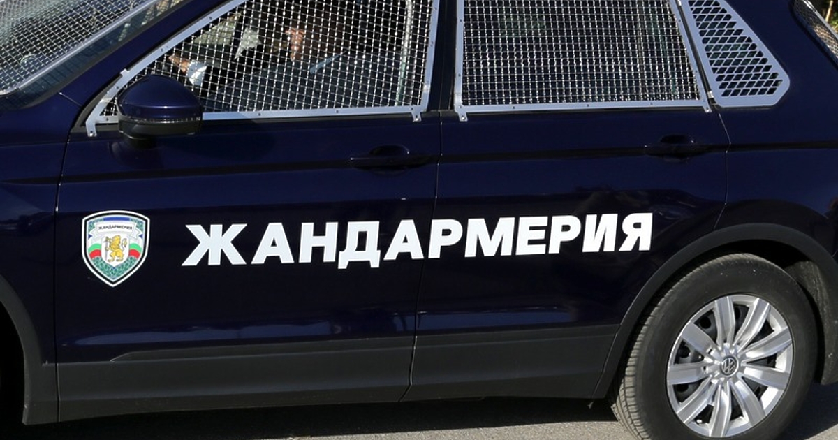 Две коли на Жандармерията са се сблъскали челно на пътя