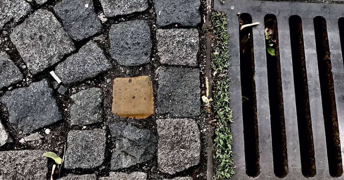 Случайно или не, в един и същи ден гражданската организация