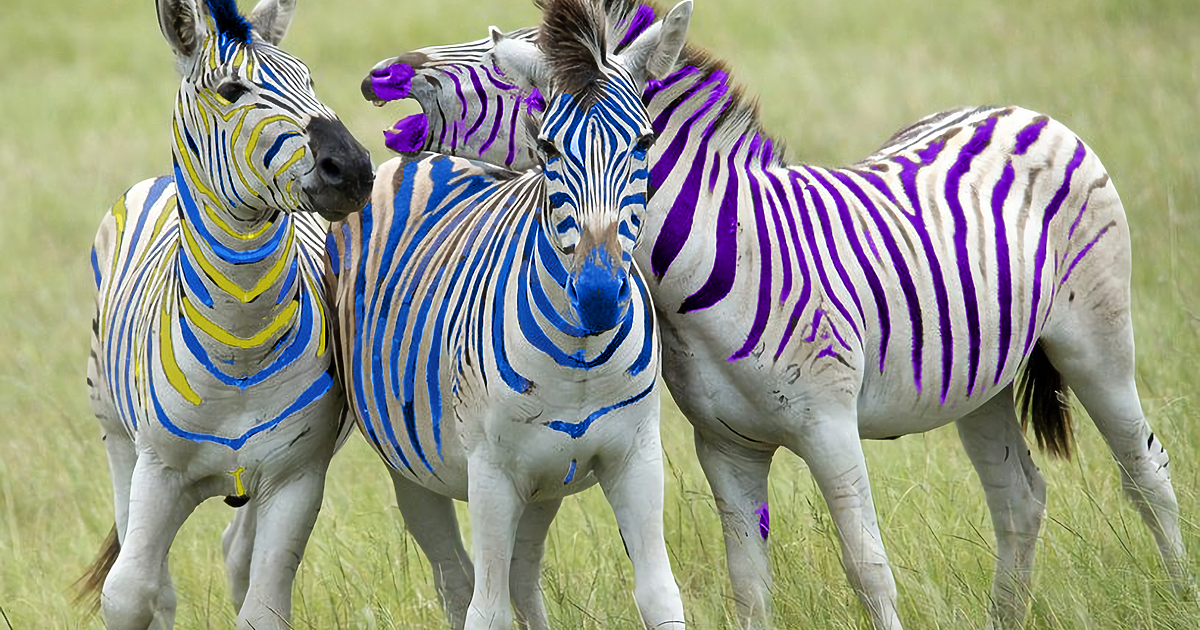 Вижте какви са данните за залаганията към 11,00 ч. на втората