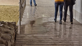 Най ниските температури през ноември у нас ще бъдат между минус