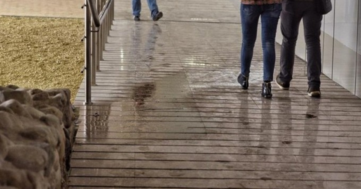 Най-ниските температури през ноември у нас ще бъдат между минус