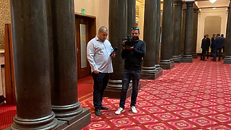 Депутатката от Демократична България първи мандат Кремена Кунева прибегна