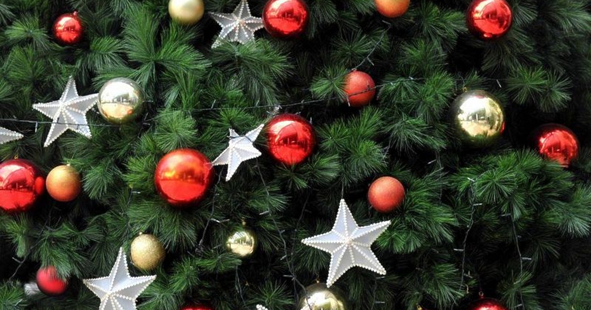 Поскъпването на торовете и почвените смеси ще даде отражение върху