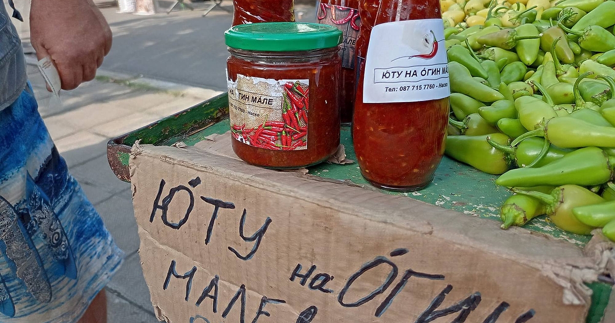 Новината, че Илон Мъск се кани да посети българския Резерват