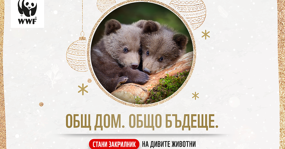 България е една от малкото европейски държави, в които все