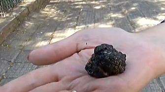 При съвместна акция на окръжната прокуратура и полицията в Пазарджик бе