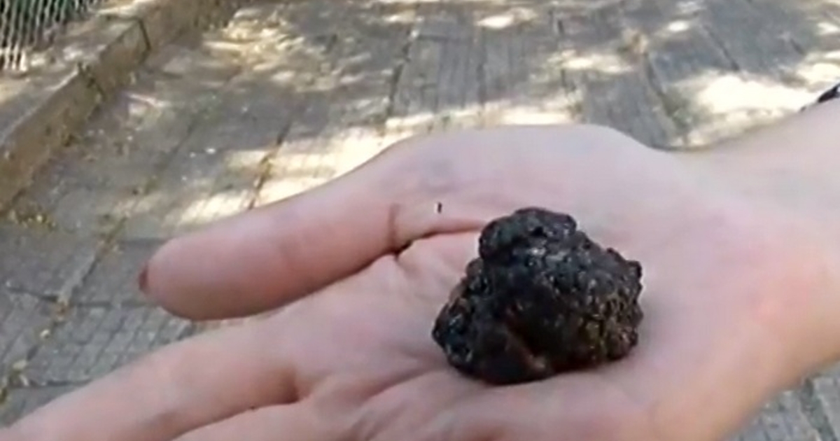 При съвместна акция на окръжната прокуратура и полицията в Пазарджик бе