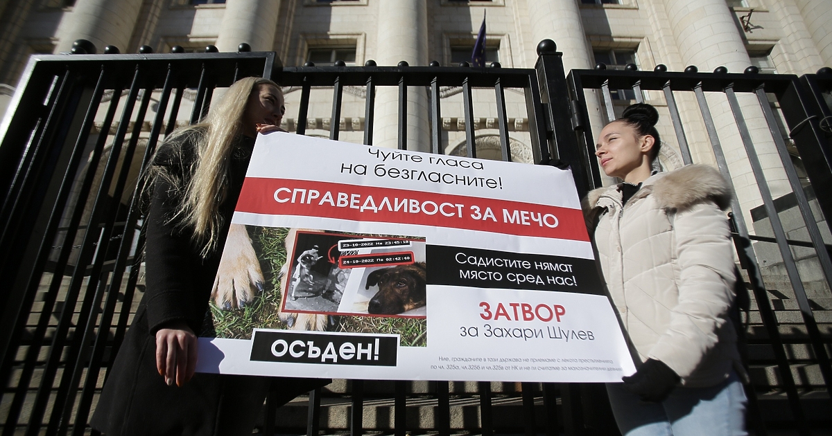 Софийският градски съд остави за постоянно в ареста Захари Шулев.