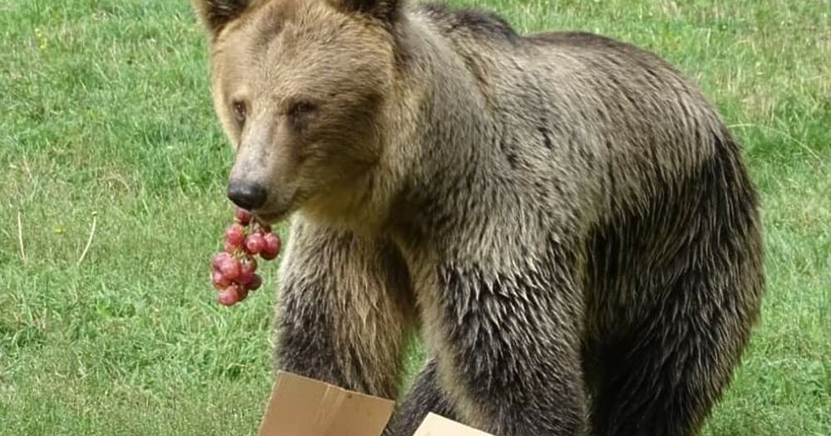 Изготвени са проект на структура и функции, включително и прогнозен