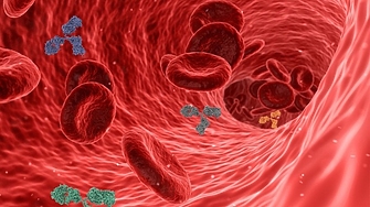 В Австралия се провеждат изпитания на терапия с антитела създадени