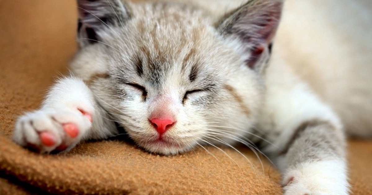 Преди близо 10 000 години хората, заселили се около реките