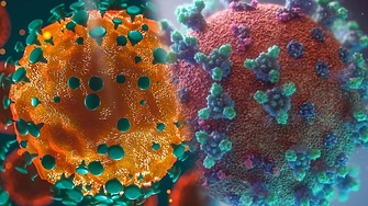 Новият подвариант на Омикрон  XBB 1 е засечен в България