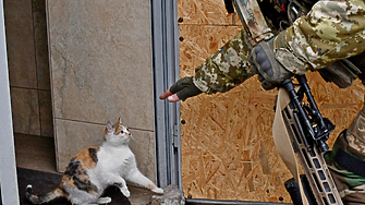 Анна Гин е журналистка и писателка живее в украинския град Харкив