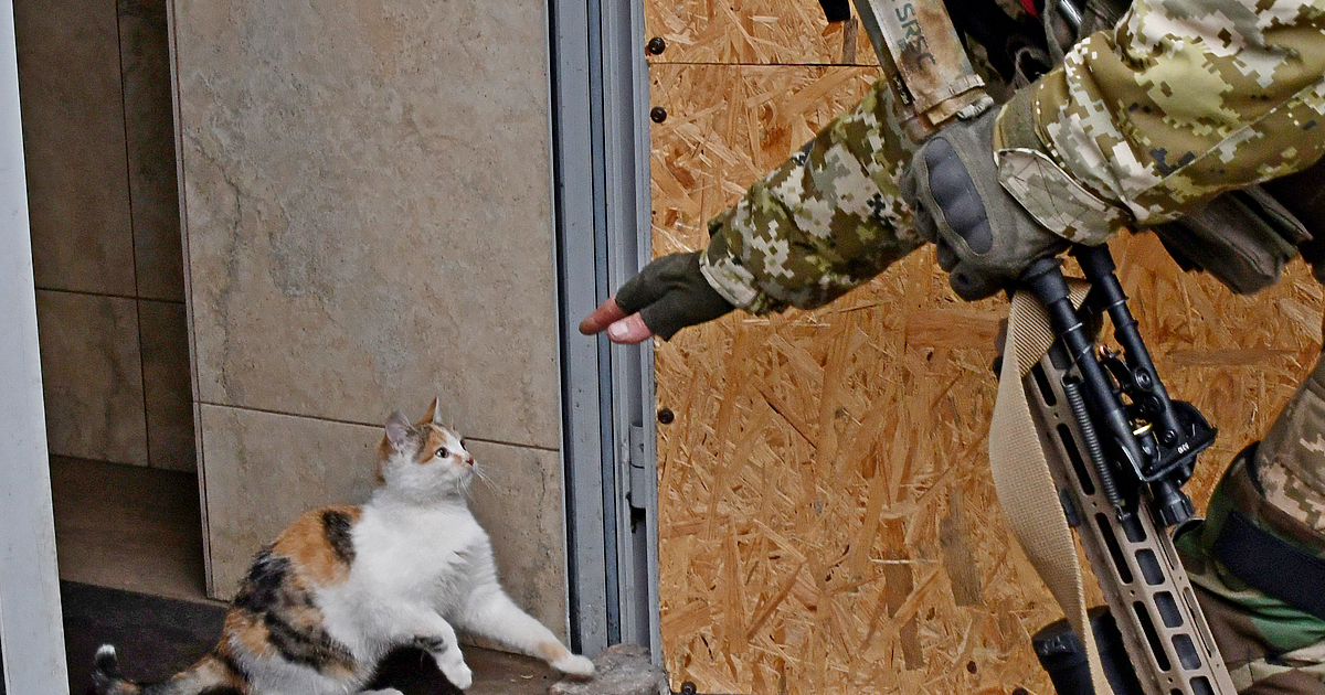 Анна Гин е журналистка и писателка, живее в украинския град Харкив*,