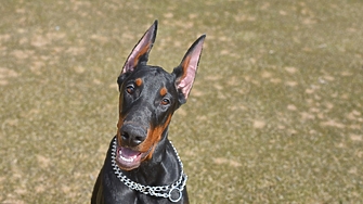 Анна Гин е журналистка и писателка живее в украинския град Харкив