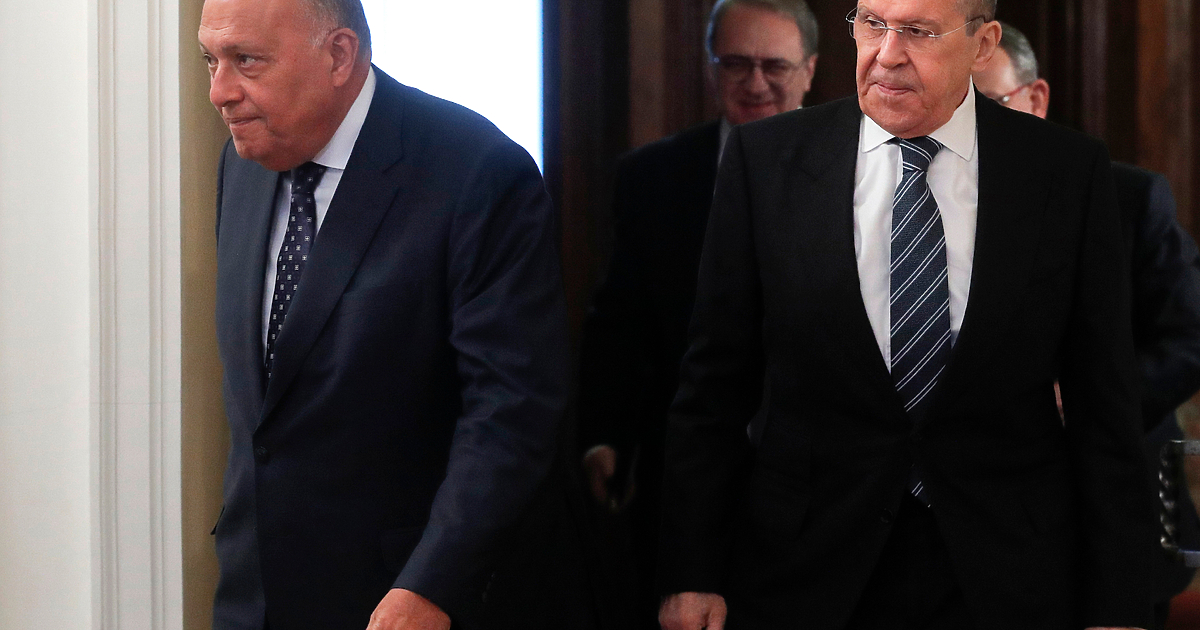 Опитва ли се Египет да играе посредническа роля между Русия