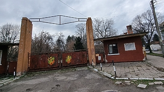 През изкривяването на времето все по често се чува сантиментални чичаци