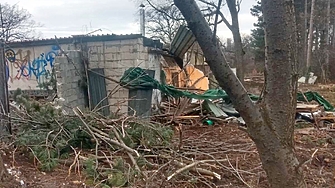 Десетки дървета в столичната Борисова градина са отрязани незаконно през