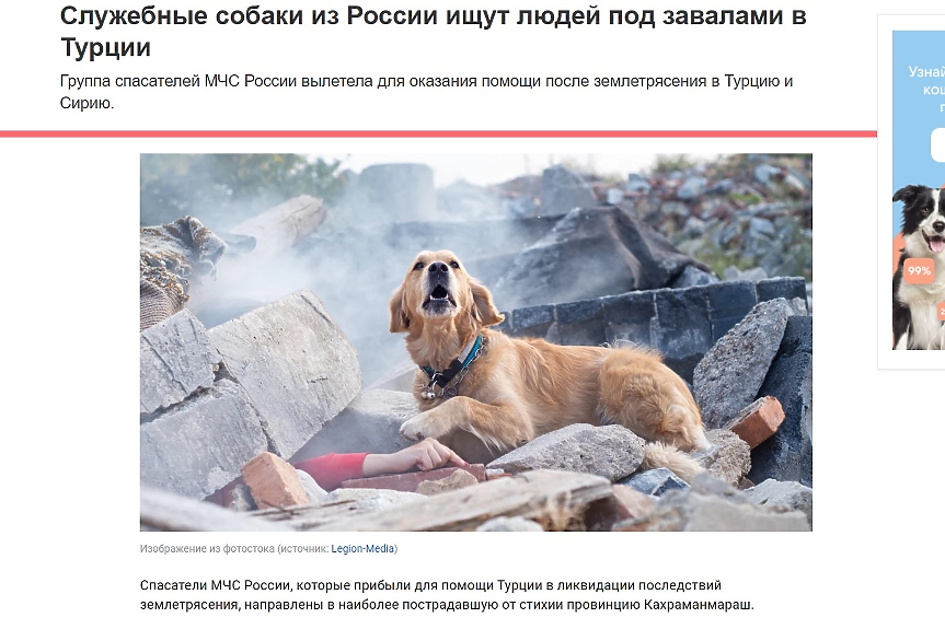 Как чешко куче се превръща в спасител от Русия (50-а ЧАСТ)