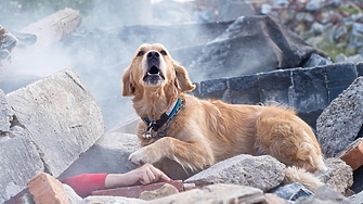 Анна Гин е журналистка и писателка живее в украинския град Харкив