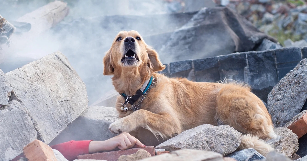 Анна Гин е журналистка и писателка, живее в украинския град Харкив.