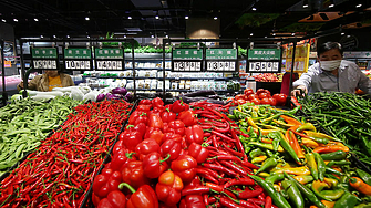 Върховна административна прокуратура която системно упражнява правото си по конституция за