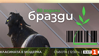 Една от емблемите на Българската национална телевизия – единственото предаване