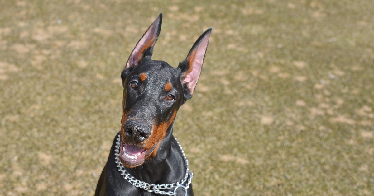 Анна Гин е журналистка и писателка, живее в украинския град Харкив.