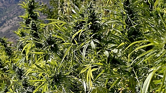 Прокуратрата и Вътрешна сигурност на МВР са заловили при съвместна