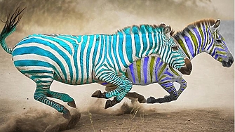 В неделя в България се провежда поредният извънреден кръг от