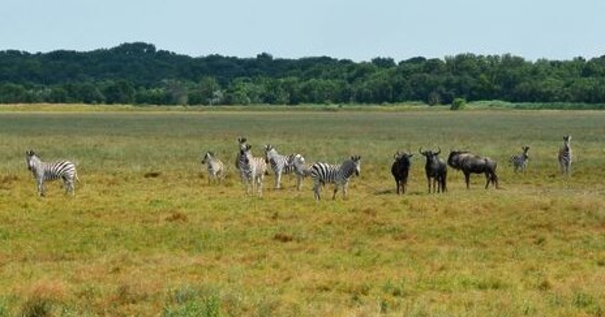 Руските войски са превзели 20 природни резервата в Украйна, съобщи