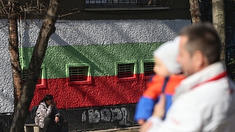 17 от българите са решили за кого да гласуват в