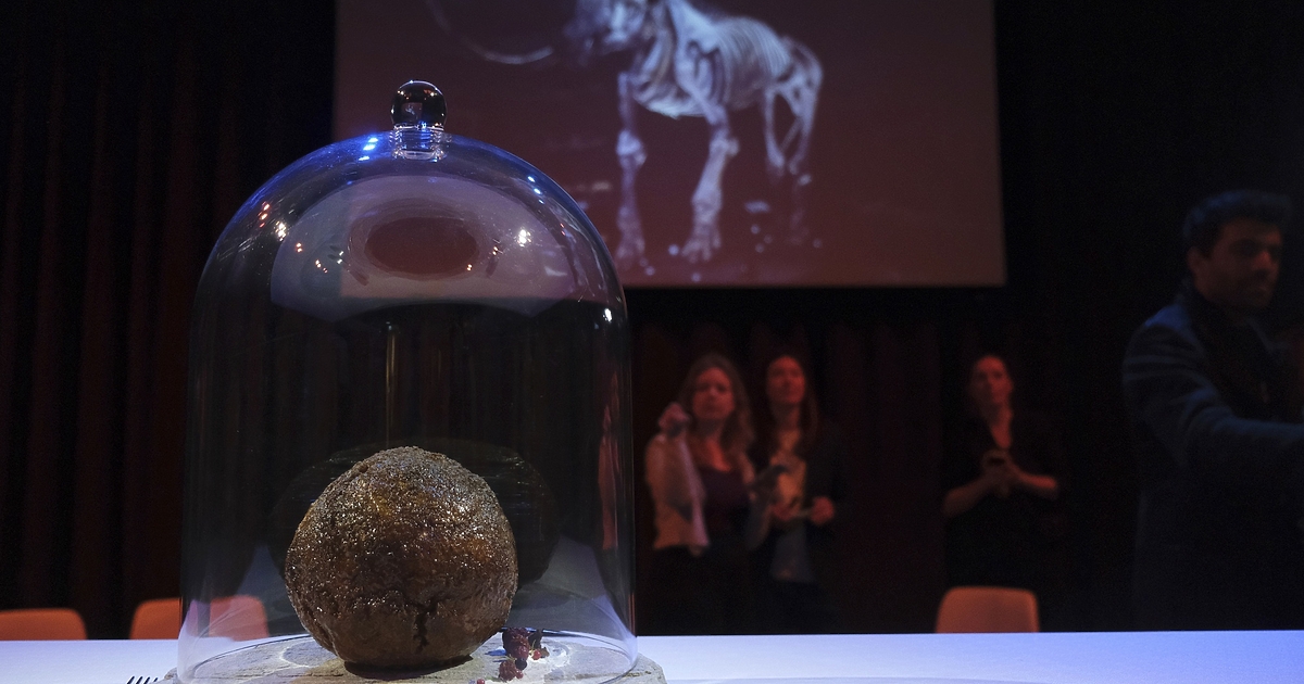 Огромно кюфте, направено от месо, култивирано с помощта на ДНК на