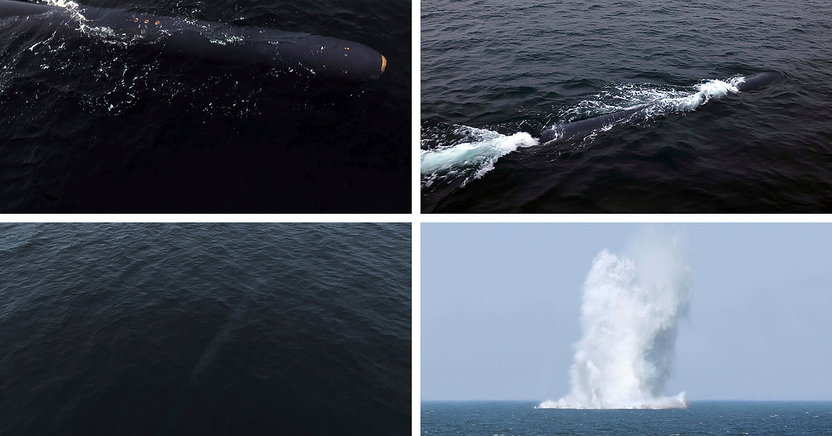 Северна Корея извърши от 4 до 7 април изпитание на