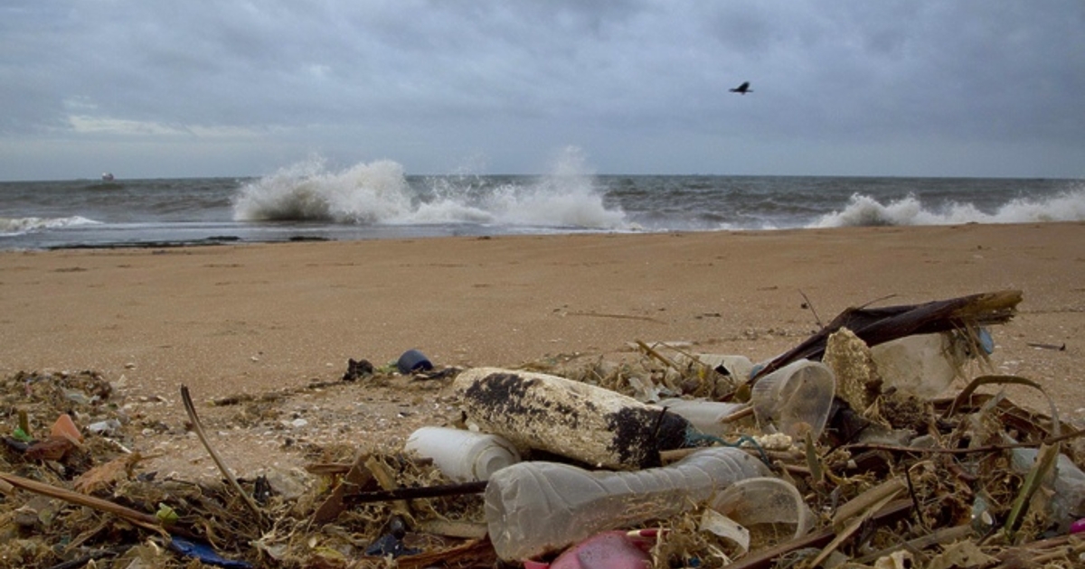 86% от боклука по бреговете на остров Кипър е пластмаса, предаде БНР.Това