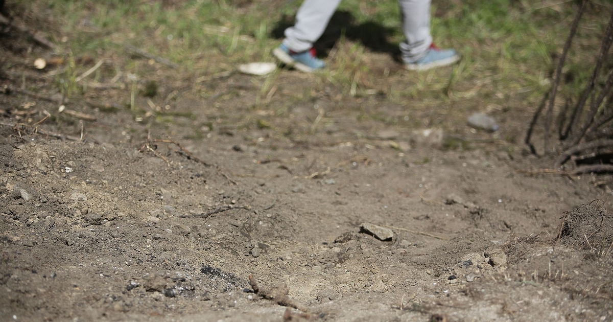 От вчера основната дискусия в обществото е: достатъчно истинска ли е