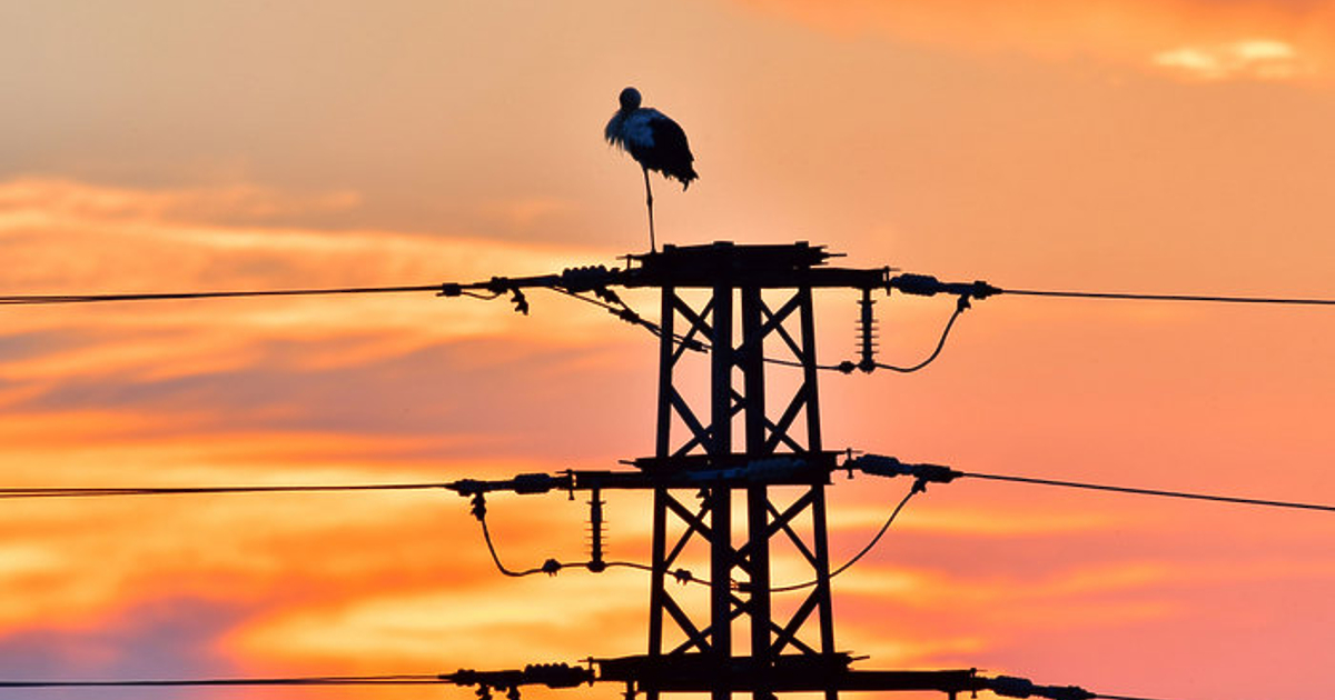Всеки работен ден в продължение на повече от месец селата