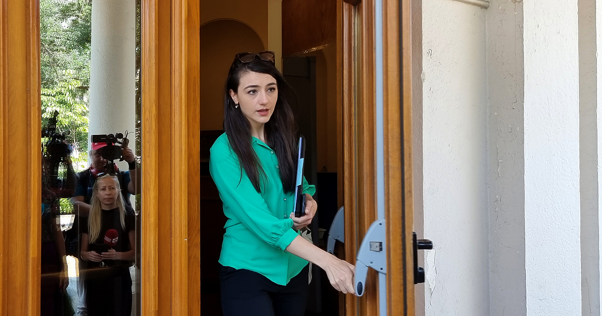 Пиар ход. Неубедителен. Слаб. Излишен.Така определи във фейсбук Лена Бориславова заявката,